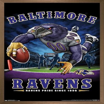 Trends International NFL Baltimore Ravens - End Zone 17 Wall Poster, 14.725" x 22.375", Bronze Framed Version