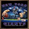 Trends International NFL New York Giants - End Zone 17 Wall Poster, 14.725" x 22.375", Bronze Framed Version view 1