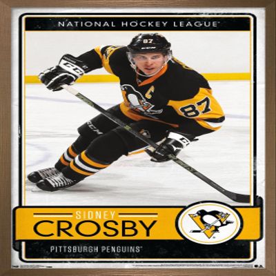Trends International NHL Pittsburgh Penguins - Sidney Crosby 16 Wall Poster, 14.725" x 22.375", Bronze Framed Version