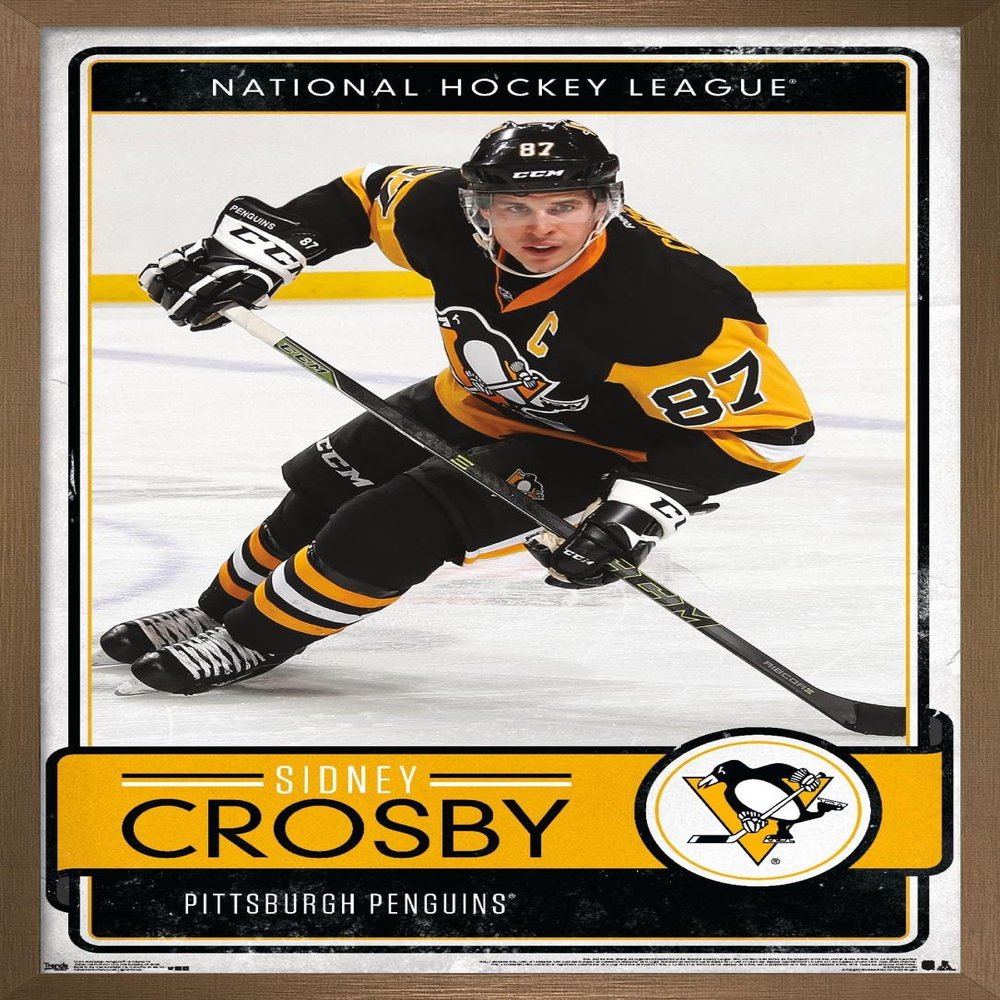 Trends International NHL Pittsburgh Penguins - Sidney Crosby 16 Wall Poster, 14.725" x 22.375", Bronze Framed Version
