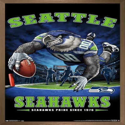 Trends International NFL Seattle Seahawks - End Zone 17 Wall Poster, 22.375" x 34", Bronze Framed Version