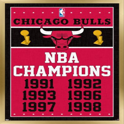 NBA Chicago Bulls - Champions 13 Wall Poster, 22.4L" x 14.7W", Gold Framed Version