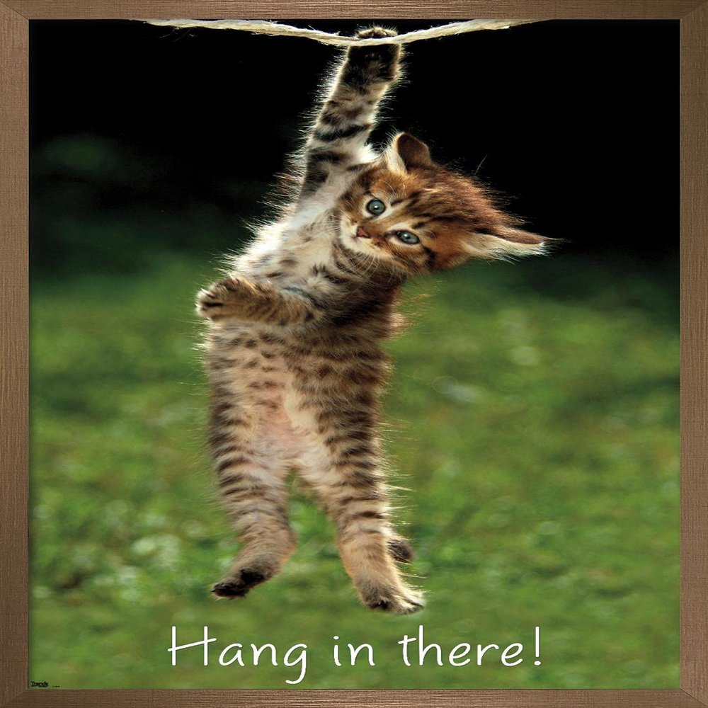 Trends International Famous Kitten Hang In There Poster Wall Poster, 22.4L x 14.7W, Bronze Framed Version