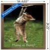 Trends International Famous Kitten Hang In There Poster Wall Poster, 22.4L x 14.7W, Bronze Framed Version view 3