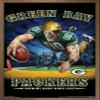 Trends International NFL Green Bay Packers - End Zone 17 Wall Poster, 22.375" x 34", Bronze Framed Version view 1