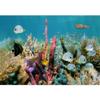 SIGNWIN Wall Mural Under The Sea Fish Removable Self-Adhesive Wallpaper Wall Decoration for Bedroom Living Room - 100x144 inches view 2