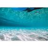 SIGNWIN Wall Mural Under The Sea Fish Removable Self-Adhesive Wallpaper Wall Decoration for Bedroom Living Room - 100x144 inches view 2