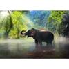 SIGNWIN Wall Mural Elephant in The Water Removable Self-Adhesive Wallpaper Wall Decoration for Bedroom Living Room - 100x144 inches view 2