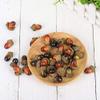 Kubert 100 Pieces Brown Assorted Artificial Acorn Caps, Autumn Vase Filler DecorationsMixed view 4