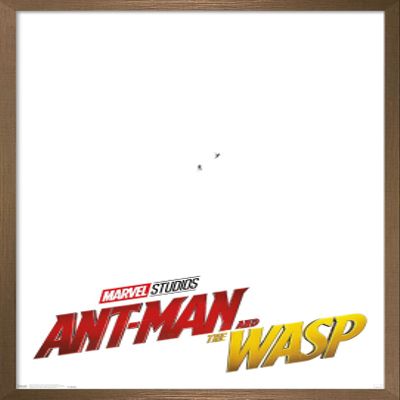 Trends International Marvel Cinematic Universe - Ant-Man and the Wasp - One Sheet Wall Poster, 22.375" x 34", Bronze Framed Version