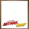 Trends International Marvel Cinematic Universe - Ant-Man and the Wasp - One Sheet Wall Poster, 22.375" x 34", Bronze Framed Version view 1