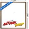 Trends International Marvel Cinematic Universe - Ant-Man and the Wasp - One Sheet Wall Poster, 22.375" x 34", Bronze Framed Version view 3