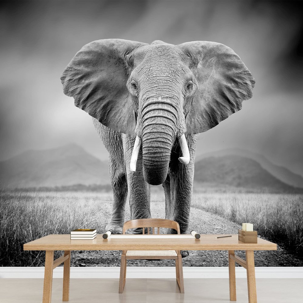 SIGNWIN Wall Mural Elephant Removable Self-Adhesive Wallpaper Wall Decoration for Bedroom Living Room - 66x96 inches