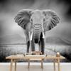 SIGNWIN Wall Mural Elephant Removable Self-Adhesive Wallpaper Wall Decoration for Bedroom Living Room - 66x96 inches view 1