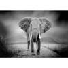 SIGNWIN Wall Mural Elephant Removable Self-Adhesive Wallpaper Wall Decoration for Bedroom Living Room - 66x96 inches view 2