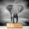 SIGNWIN Wall Mural Elephant Removable Self-Adhesive Wallpaper Wall Decoration for Bedroom Living Room - 66x96 inches view 3