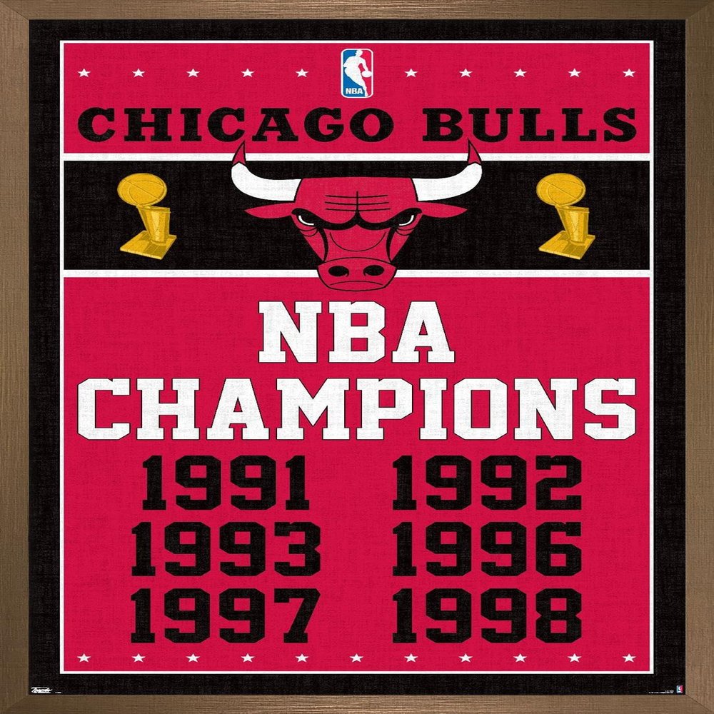 NBA Chicago Bulls - Champions 13 Wall Poster, 22.4L" x 14.7W", Bronze Framed Version