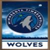 Trends International NBA Minnesota Timberwolves - Logo 18 Wall Poster, 14.725" x 22.375", Bronze Framed Version view 1