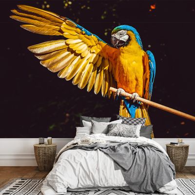 SIGNWIN Wall Mural A Big Bird Removable Self-Adhesive Wallpaper Wall Decoration for Bedroom Living Room - 100x144 inches