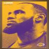 Trends International NBA Los Angeles Lakers - Lebron James 18 Wall Poster, 14.725" x 22.375", Bronze Framed Version view 1