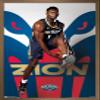 Trends International NBA New Orleans Pelicans - Zion Williamson 19 Wall Poster, 14.725" x 22.375", Bronze Framed Version view 1