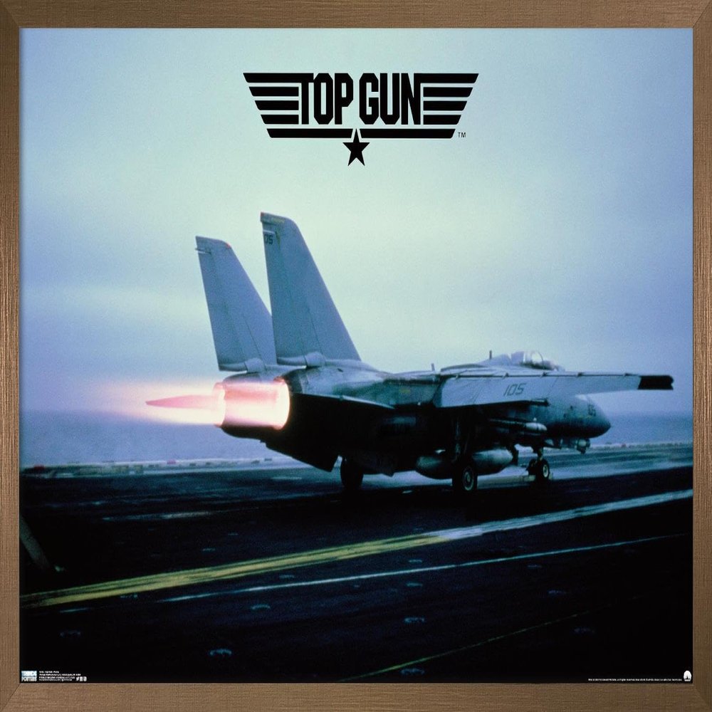 Trends International Top Gun - Maverick Plane Wall Poster, 14.725" x 22.375", Bronze Framed Version