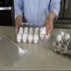 Kitchen Spaces Deluxe Egg Tray, Holds 18 Eggs, Refrigerator Storage Container with Lid, Stackable Fridge Organizer, Crush-Proof, BPA-Free, Clear view 3