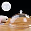 14 Inch Clear Food Cover Dome Round Cake Cover Food Plate Dish Guard Transparent Dessert Cake Pastry Lid view 3