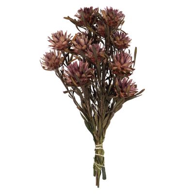 Vickerman Purple Orchid Plumosum Flower 20" Long Stem