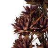 Vickerman Purple Orchid Plumosum Flower 20" Long Stem view 3
