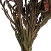 Vickerman Purple Orchid Plumosum Flower 20" Long Stem view 4