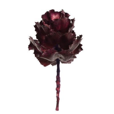 Vickerman 6" - 7" Queen Flower Medium, Violet, for Receiving Only (CP-30), Dried
