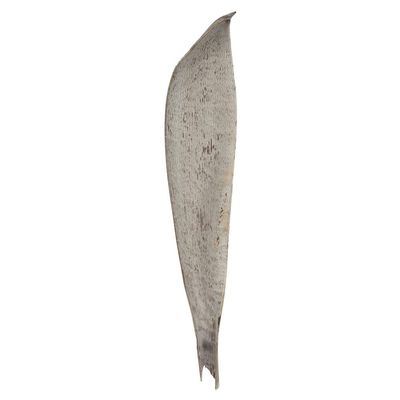 24-30" White Wash Palm Paddle 3Pk