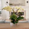 WGVI WGV Silver Etched Ceramic Cylinder Vase Width 8" Height 4" Elegant Modern Floral Container Planter Pot Centerpiece for Event Wedding Home Decor, Silver Textured 8 Pieces view 4