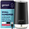 GENIANI Portable Small Cool Mist Humidifier USB Powered (Not Rechargeable), Compact Desktop Humidifier for Plants, Office, Baby Room Auto Shut Off & Night Light Black, 0.25L view 1