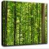 A Forest Sunny Morning Wall Art Decor Picture Painting Poster Print on Canvas Panels Pieces - Nature Theme Wall Decoration Set - A Good Morning Feeling Wall Picture for Living Room 23 by 40 in view 1