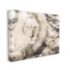 Stupell Industries Abstract Sepia Tone Jungle Lion Animal Portrait view 1
