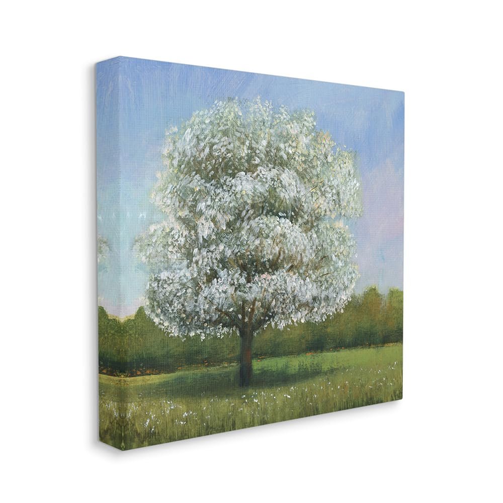 Stupell Industries Spring Blossom Tree Landscape White Floral Meadow, Design by Tim Otoole Canvas Wall Art, 24 x 24, Green