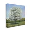 Stupell Industries Spring Blossom Tree Landscape White Floral Meadow, Design by Tim Otoole Canvas Wall Art, 24 x 24, Green view 1