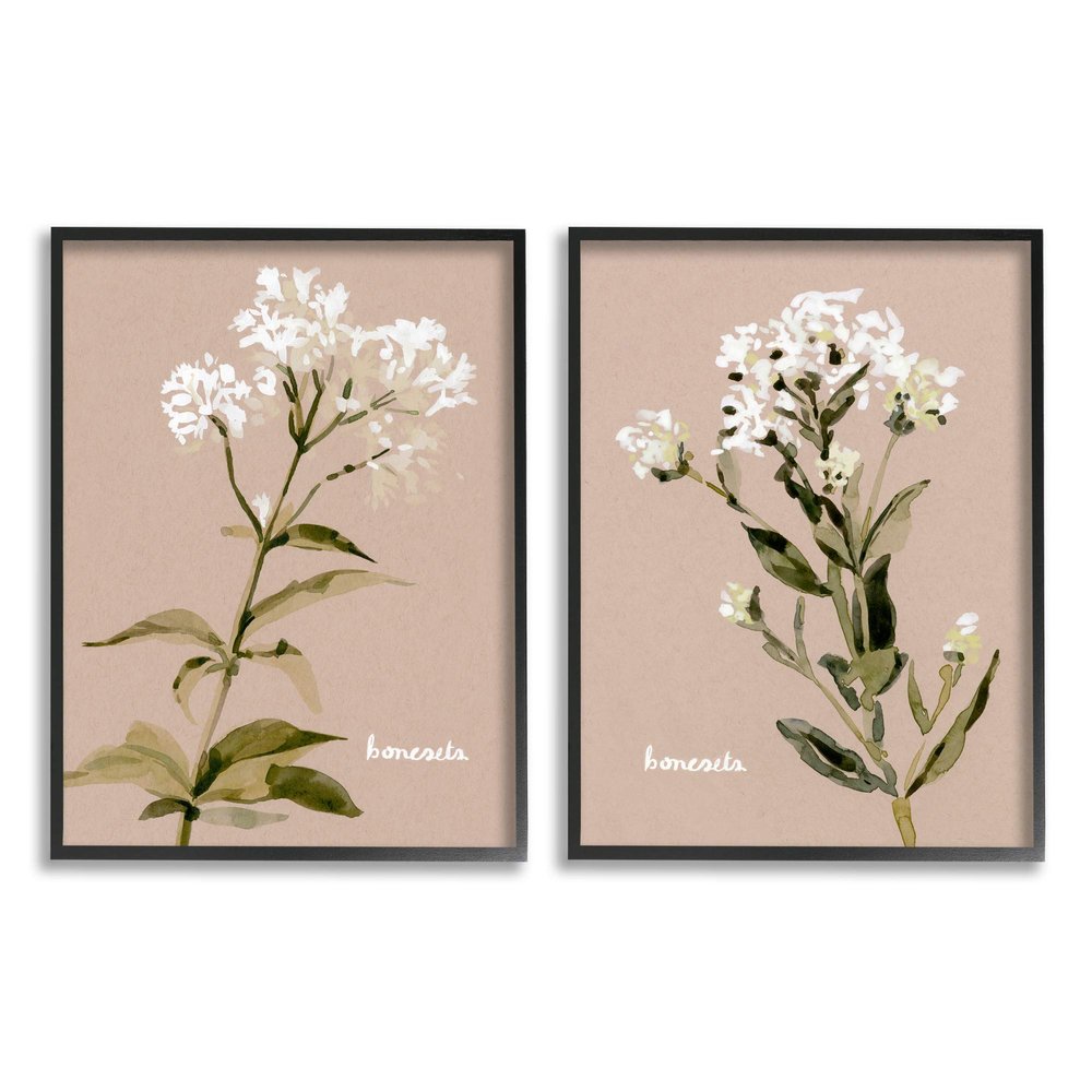 Stupell Industries White Boneset Flowers Soft Green White Brown