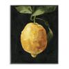 Stupell Industries Abstract Yellow Lemon on Vine Pop Over Black, Design by Emma Caroline Framed Wall Art, 16x20 view 1