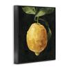 Stupell Industries Abstract Yellow Lemon on Vine Pop Over Black, Design by Emma Caroline Framed Wall Art, 16x20 view 3