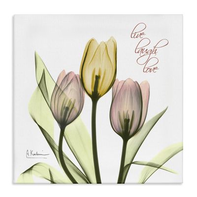 Stupell Industries Live Laugh Love Phrase Yellow Pink Tulip Florals, Design by Albert Koetsier Canvas Wall Art, 24x24, White