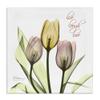 Stupell Industries Live Laugh Love Phrase Yellow Pink Tulip Florals, Design by Albert Koetsier Canvas Wall Art, 24x24, White view 1