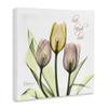 Stupell Industries Live Laugh Love Phrase Yellow Pink Tulip Florals, Design by Albert Koetsier Canvas Wall Art, 24x24, White view 3
