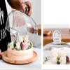 8/10/11 Inch Cake Plate, Rotatable Wooden Dessert Tray Glass Fruit Dust Dome Restaurant Cake Maker Chip & Dip Server (Color : Khaki, Size : 24.624.617.8CM) view 3