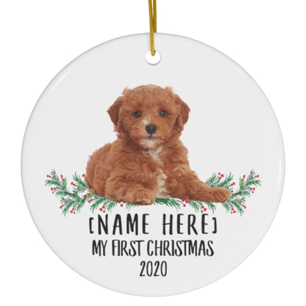 Personalized Name Custom Year Cavapoo White New Years 2027 Decorations Gifts First 2026 Christmas Tree Ornaments Ceramic Circle