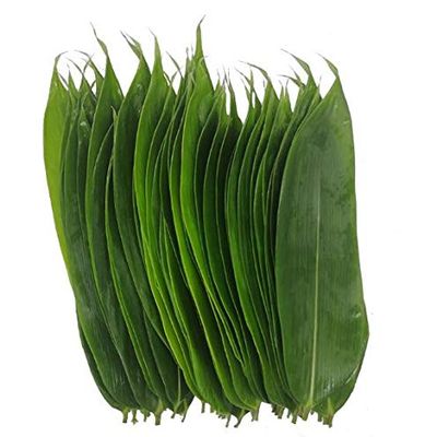 100 Fresh Sheets Vacuum Packed Bamboo LeavesNatural Wild Bamboo Leaf Sushi Cuisine Barbecue Decoration Zongzi Material - M Size