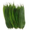 100 Fresh Sheets Vacuum Packed Bamboo LeavesNatural Wild Bamboo Leaf Sushi Cuisine Barbecue Decoration Zongzi Material - M Size view 1