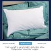 Ameridown Elite Medium 600 Fill Power Down Pillow, Ideal Support for Back Sleepers, Queen Size, White view 2